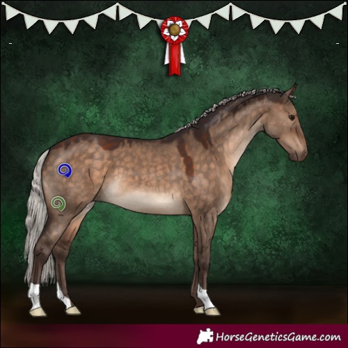 Horse Color:Silver Brown Dun 