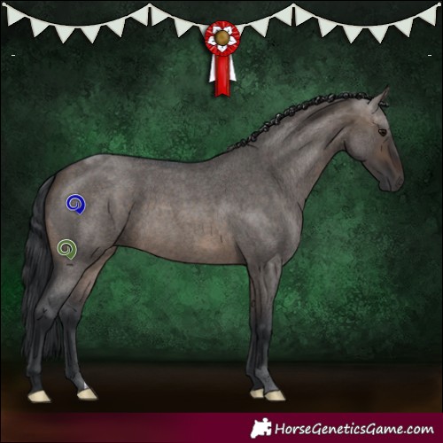 Horse Color:Brown Roan Dun 