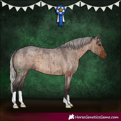 Horse Color:Silver Brown Roan Dun Brindle 