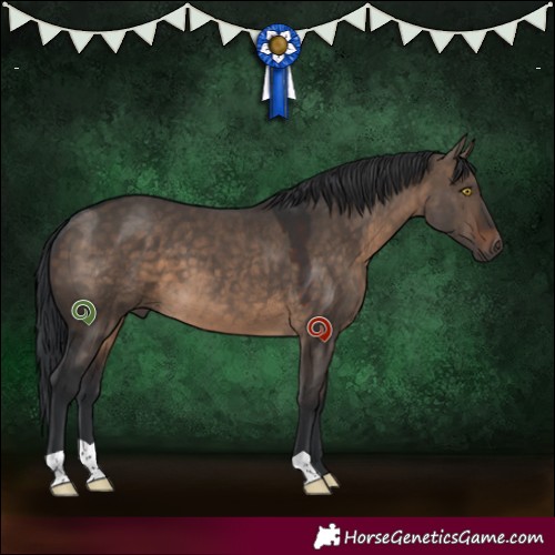 Horse Color:Brown Dun 