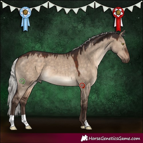 Horse Color:Silver Brown Dun 