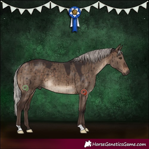 Horse Color:Silver Brown Dun Brindle 