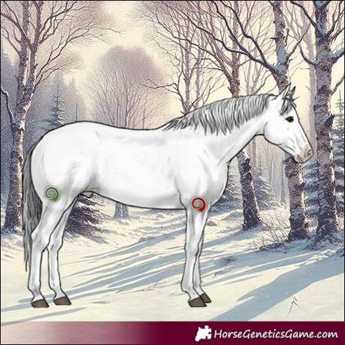 Horse Color:Brown Sabino Rabicano 