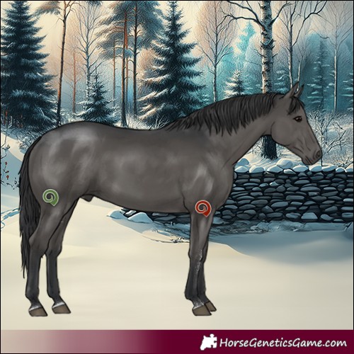 Horse Color:Black Sabino Rabicano 