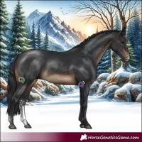 Horse Color:Brown Sabino 