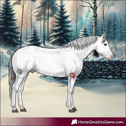 Horse Color:Grullo Sabino 