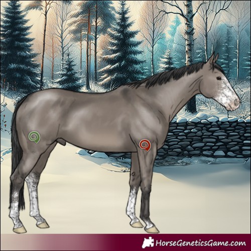 Horse Color:Grullo Sabino 