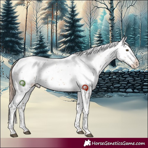 Horse Color:Liver Chestnut Pearl Sabino 