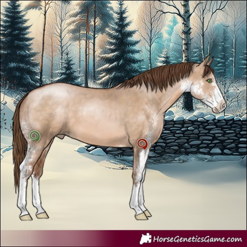 Horse Color:Brown Pearl Dun Sabino 