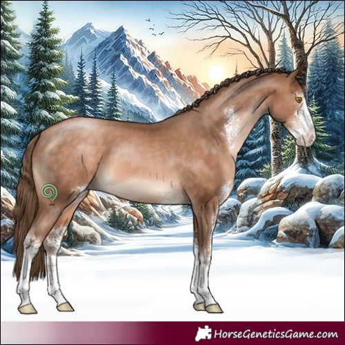 Horse Color:Brown Pearl Sabino 