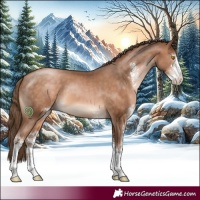 Horse Color:Brown Pearl Sabino 