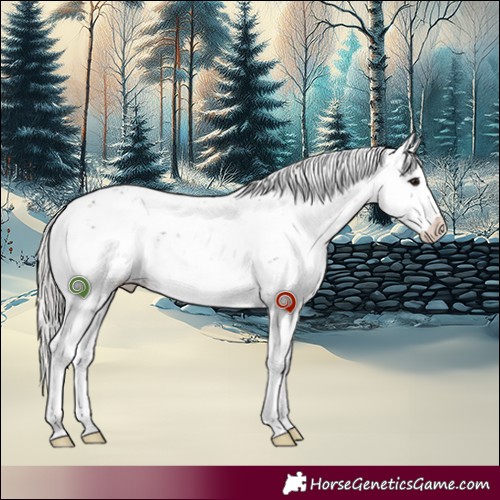 Horse Color:Silver Brown Sabino 