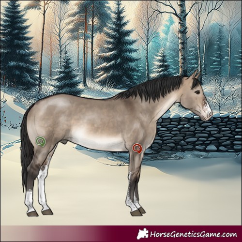 Horse Color:Brown Dun Sabino 