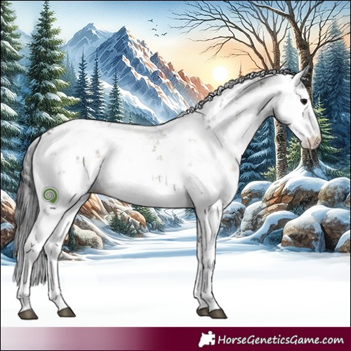 Horse Color:Brown Dun Sabino 