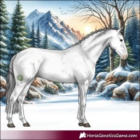 Horse Color:Brown Dun Sabino 