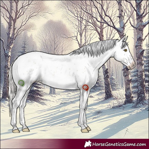 Horse Color:Silver Brown Dun Sabino 