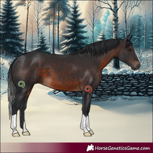 Horse Color:Brown 