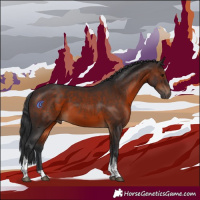 Horse Color:Brown Tobiano
