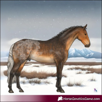 Horse Color:Gray Silver Buckskin Ice 