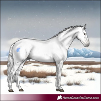 Horse Color:Gray Silver Buckskin Ice 