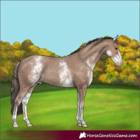 Horse Color:White Spotted Classic Champagne Tobiano Rabicano 