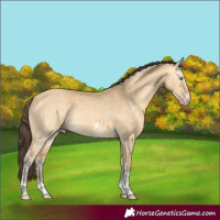 Horse Color:Amber Cream Champagne Dun Sabino 