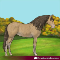Horse Color:Classic Cream Champagne 
