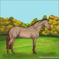 Horse Color:Red Dun 