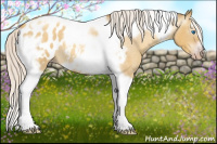Horse Color:Gray Silver Amber Cream Champagne Roan Dun Splash Tobiano Frame Appaloosa Rabicano 