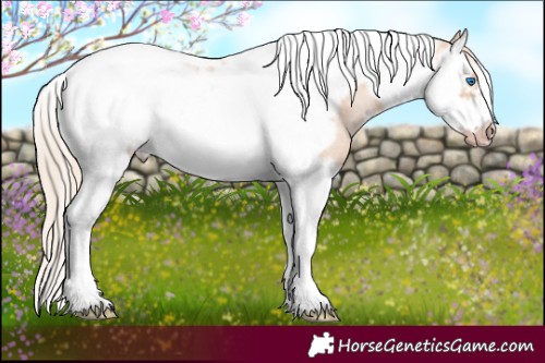 Horse Color:White Spotted Gold Champagne Dun Splash Tobiano Frame Rabicano 