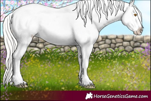 Horse Color:Silver Classic Champagne Roan Splash Tobiano Frame Blanket Rabicano 