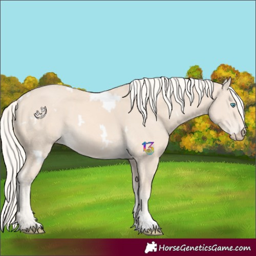 Horse Color:White Spotted Cremello 