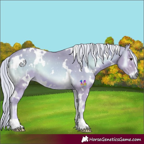 Horse Color:Watercolor White Spotted Palomino Onyx 