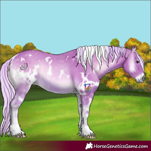 Horse Color:Watercolor White Spotted Palomino Onyx