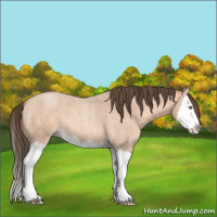 Horse Color:Amber Champagne Roan Splash 