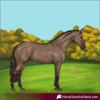 Horse Color:Liver Red Dun 