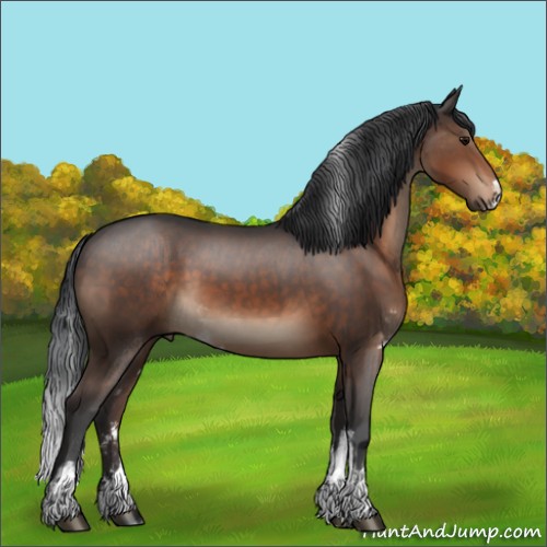 Horse Color:Brown Sabino 