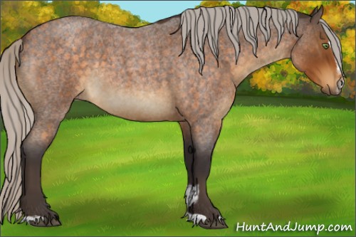 Horse Color:Silver Buckskin Roan Sabino 