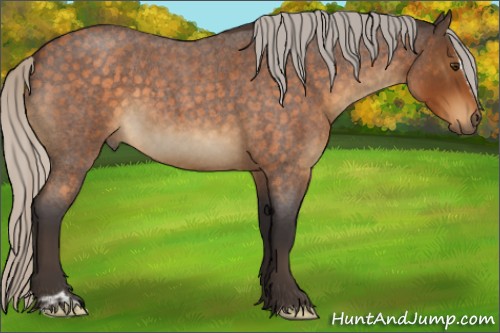 Horse Color:Silver Buckskin Roan Sabino 