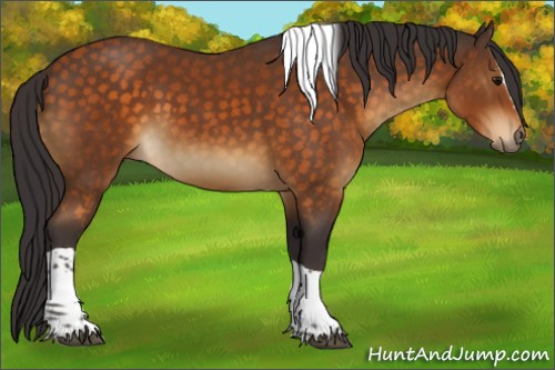 Horse Color:Buckskin Sabino Tobiano 
