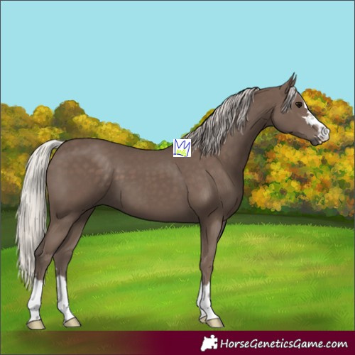 Horse Color:Silver Black 