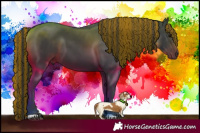 Horse Color:Painted Black 