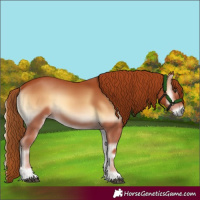 Horse Color:Red Onyx 