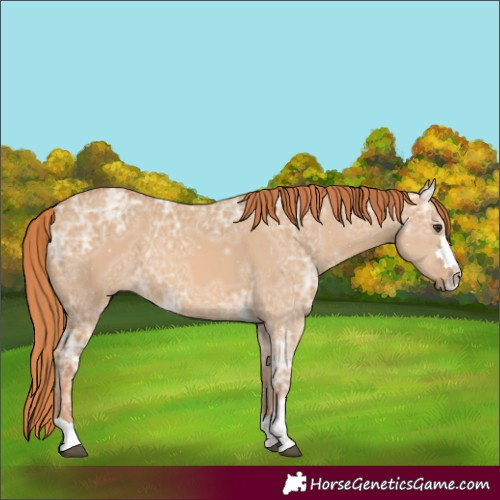 Horse Color:Painted Red Dun Ice 
