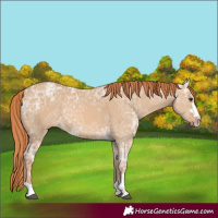Horse Color:Painted Red Dun Ice 