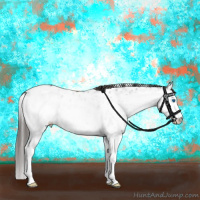 Horse Color:White Spotted Grullo Splash Appaloosa Rabicano 