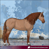 Horse Color:Red Dun 