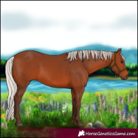 Horse Color:Silver Brown
