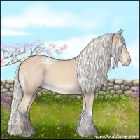 Horse Color:White Spotted Silver Perlino Tobiano Rabicano 