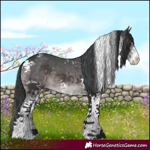 Horse Color:Platinum White Spotted Brown Tobiano Rabicano 